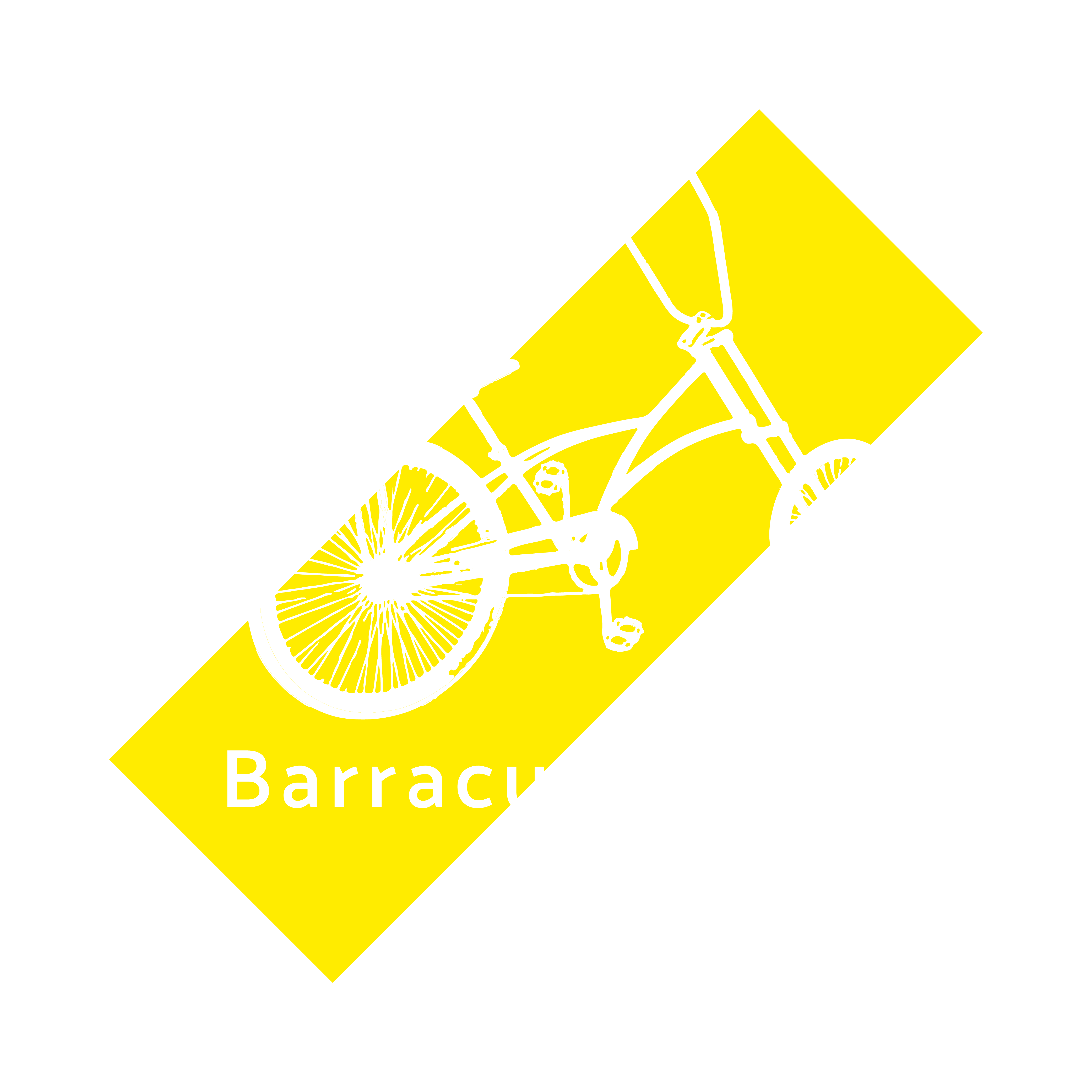 Barracuda stories